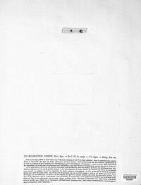 Sclerotinia sclerotiorum image